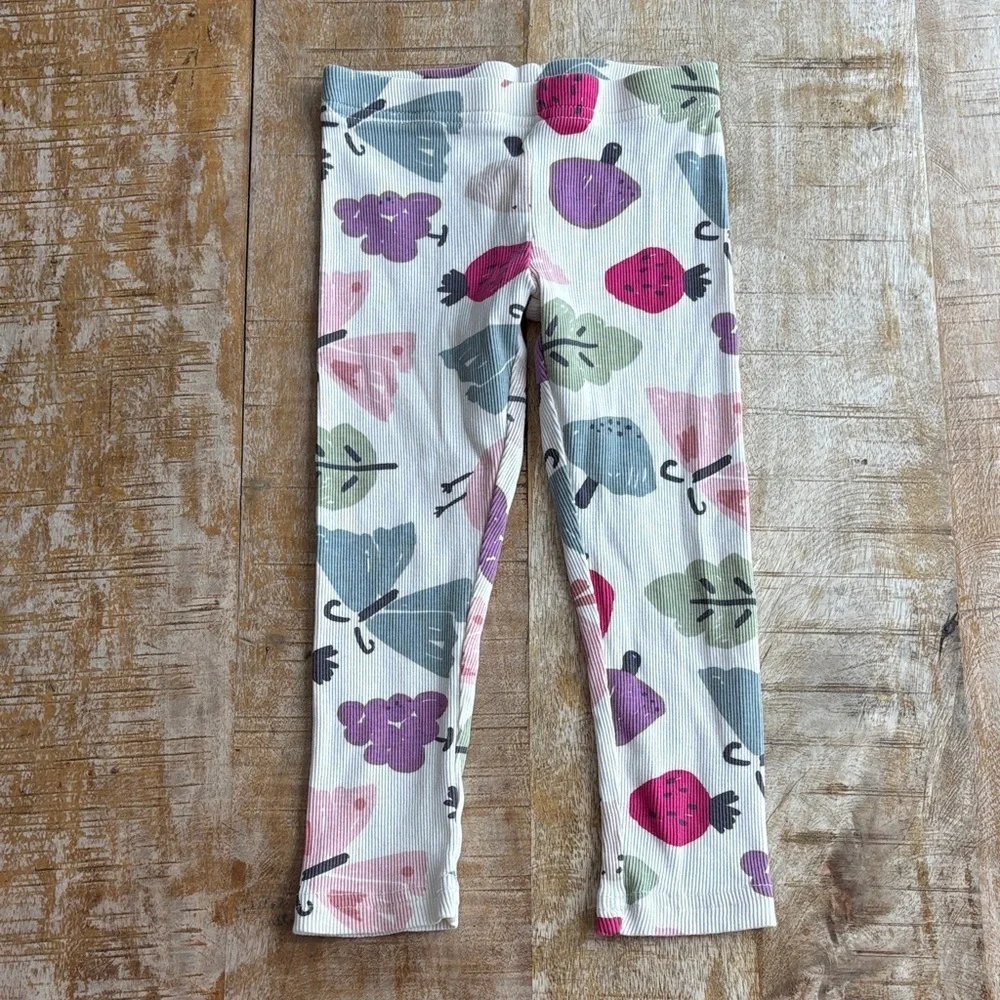 Carter’s Girls Outfit 4t